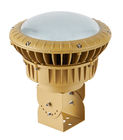 CE Approved Explosion Proof Ceiling Light NEW-FBG-100W High Bay Light Fixtures