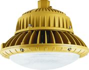 New-Fbg-120w Exd IIC T6 Gb Explosion Proof Led Light Fixture For Dangerous Area