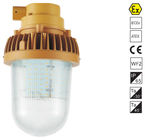 60W 6600lm EX Certificated Explosion Proof Lighting PF0.96 Professional Ex Proof Led Lights