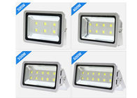 Water Proof IP65 Led Football Field Lighting With Super Brightness Chips