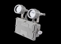 Industrial 12v Rechargeable Explosion Proof Emergency Light With 2 Heads