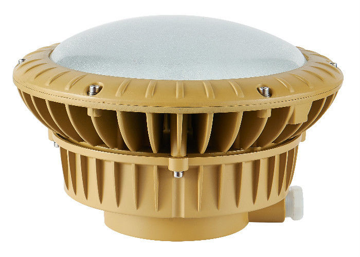 Lumen Dating IP65 100w Explosion Proof Led Lamp For Oil Filed Platform